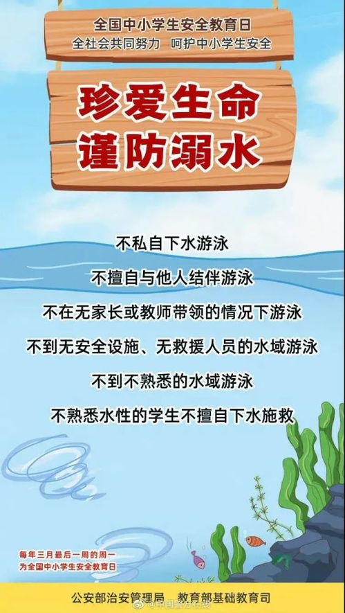 安全保障，家庭教育的基石 面向家長(zhǎng)的咨詢(xún)服務(wù)不可忽視