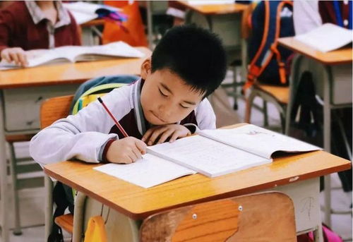 江蘇全面啟動課后服務(wù)與家庭教育咨詢，為家長減負解憂