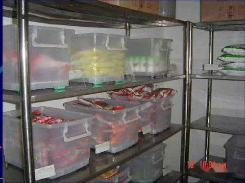 《食品安全法》在餐飲服務、酒店管理及信息咨詢中的實踐與應用