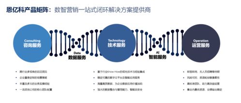 咨詢(xún)賦能，技術(shù)破局 營(yíng)銷(xiāo)數(shù)字化轉(zhuǎn)型中的價(jià)值躍升之道